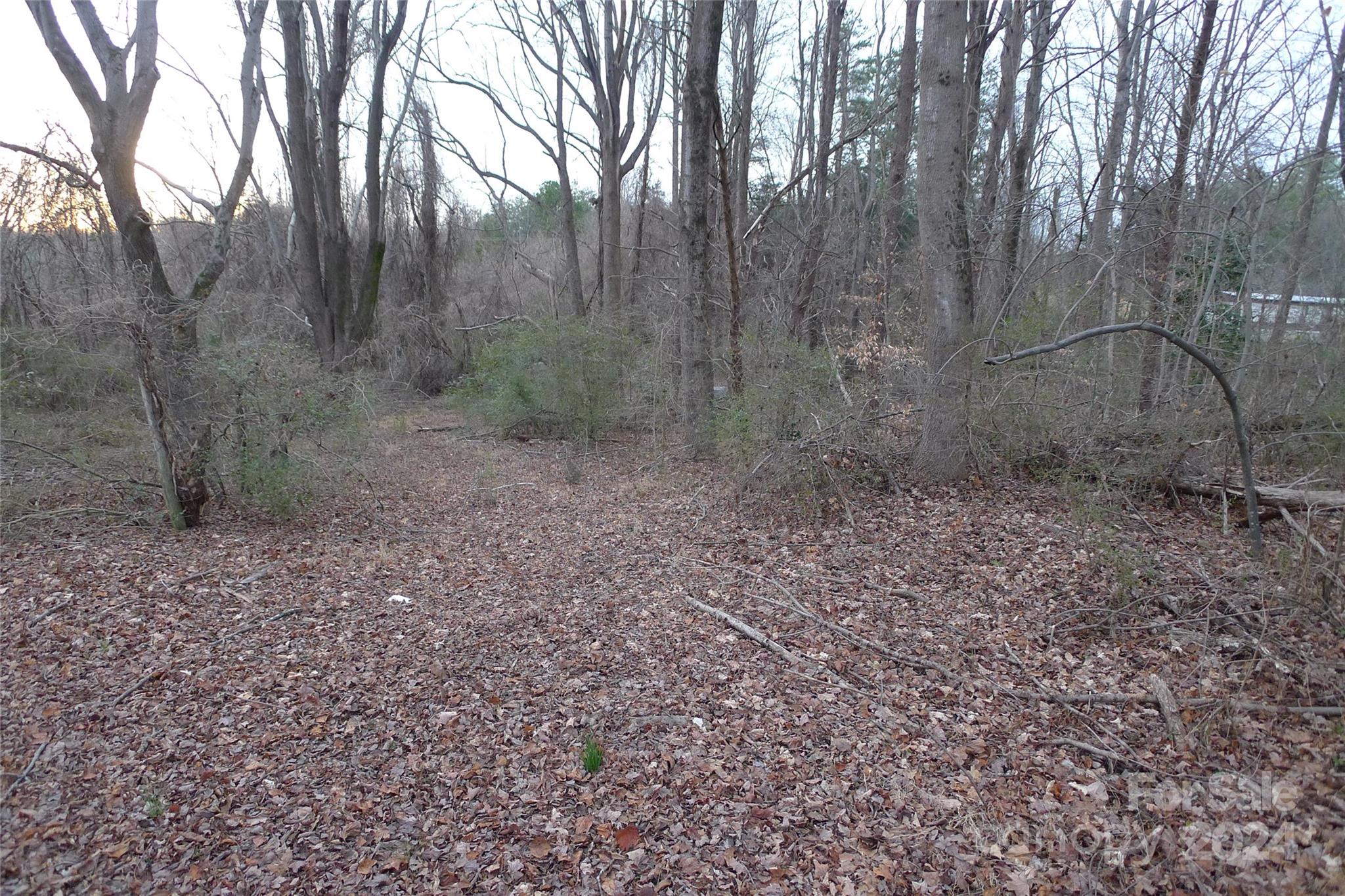 a view of a yard with trees in the background