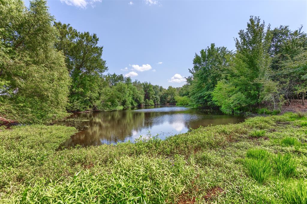 a view of a lake in between two large trees