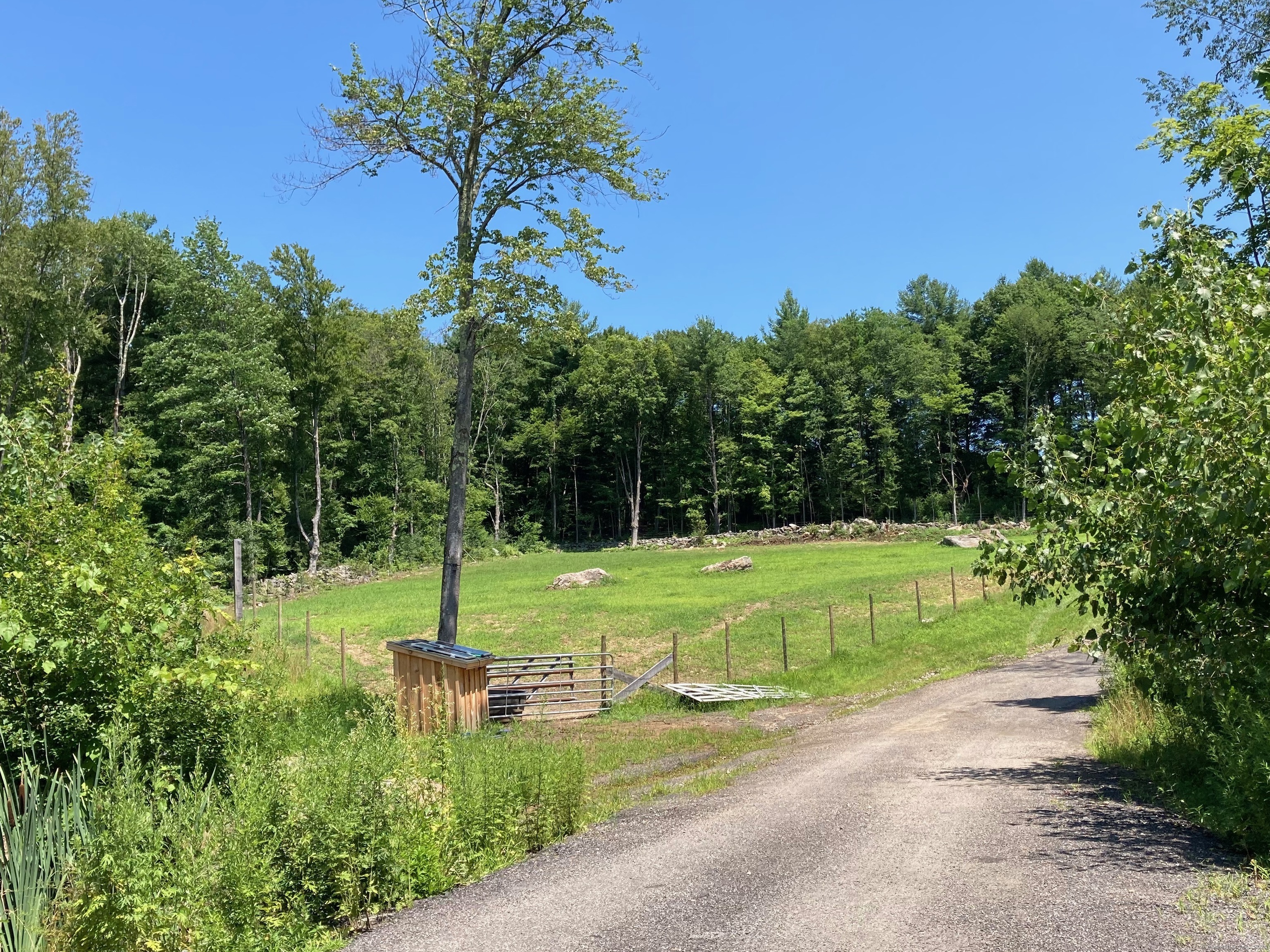 a view of a park with large trees