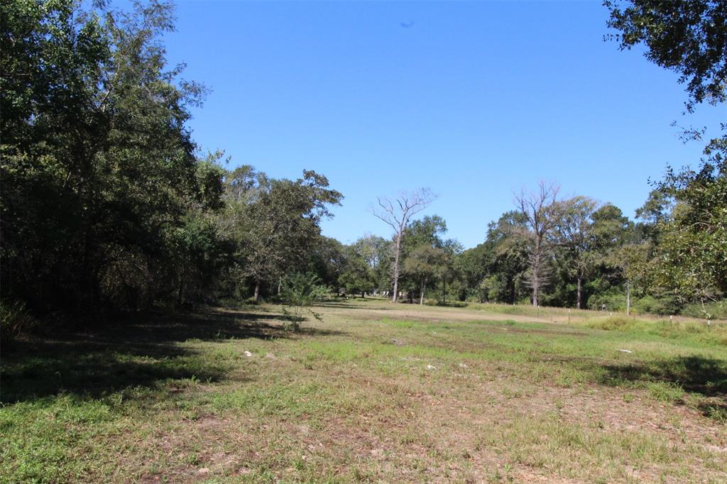 a view of outdoor space with trees all around