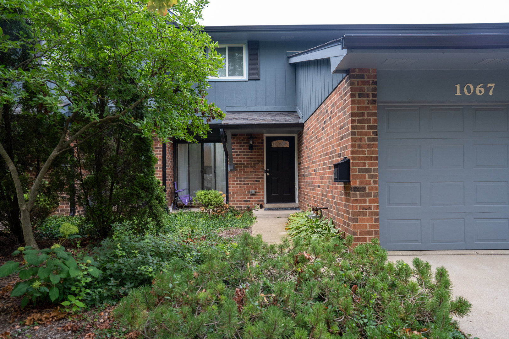 a view of a house with a yard and plants