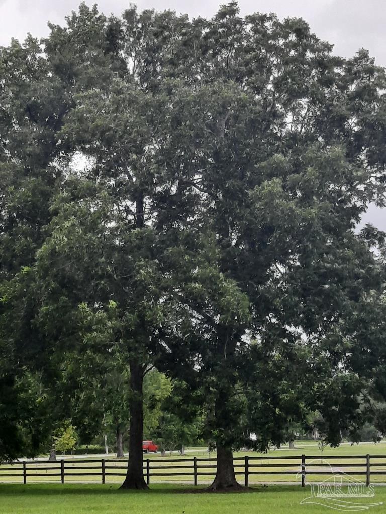 a view of a green field