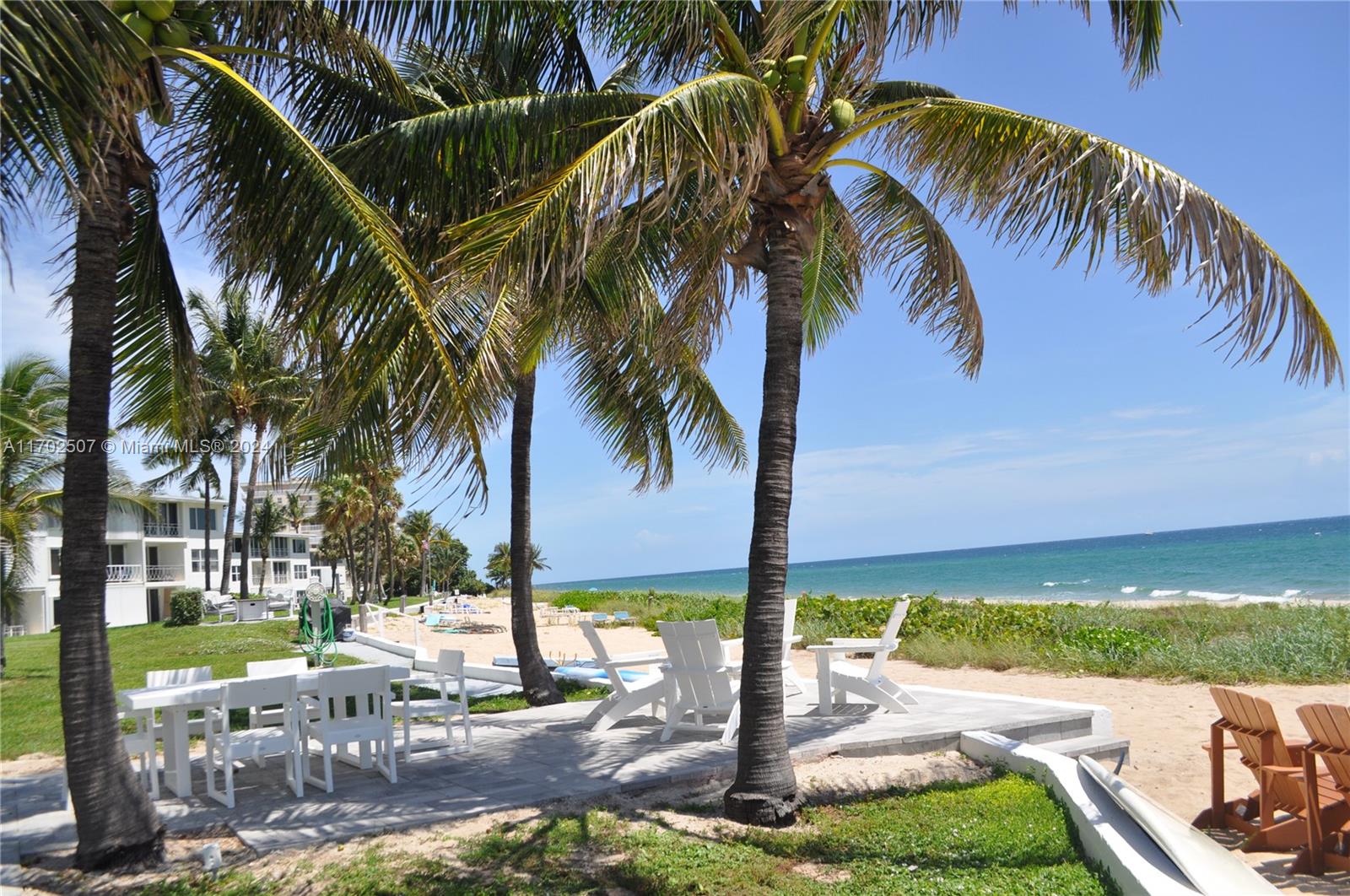 a view of a yard with palm trees