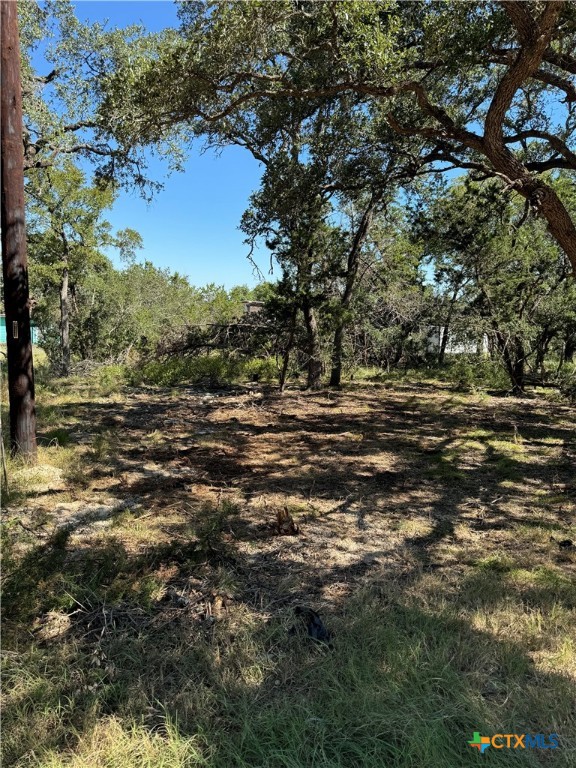 a view of outdoor space with green field and trees all around