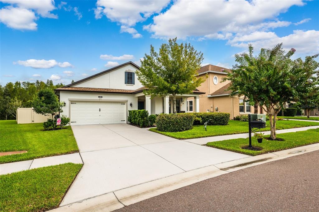 a front view of house with yard and green space