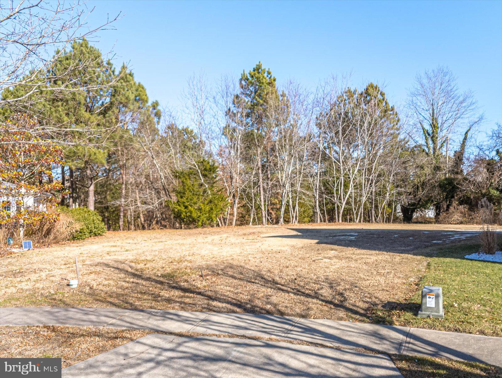 a view of a yard with a trees