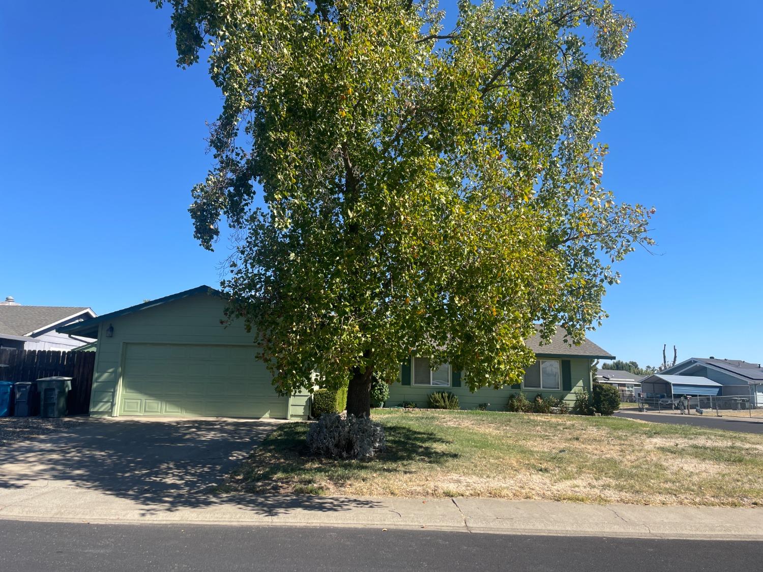 a view of a yard in front of a house with large tree