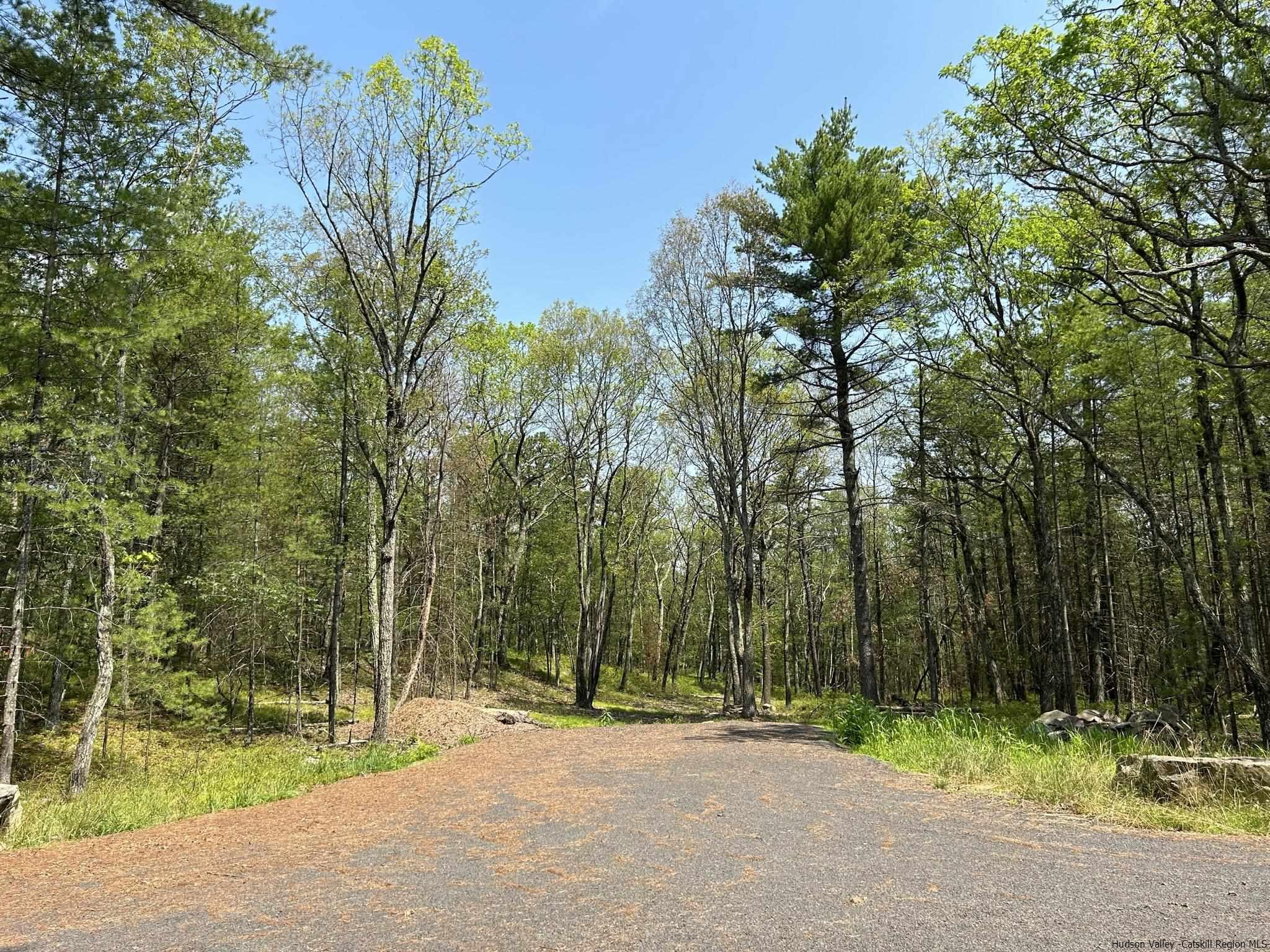 a pathway of a yard