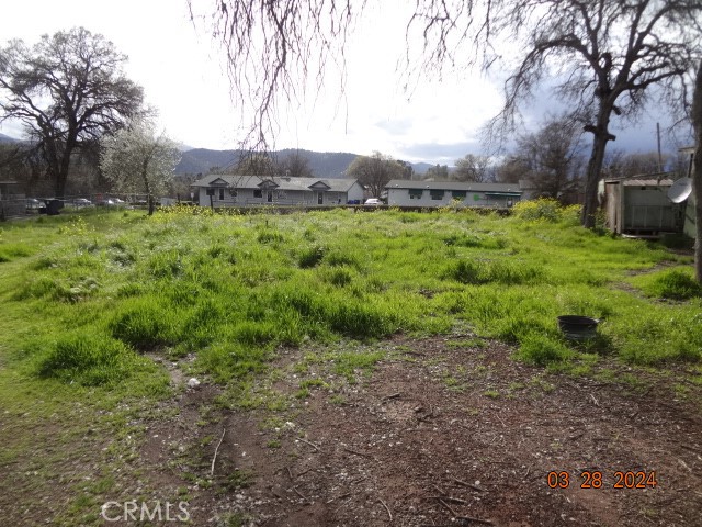 a view of a back yard