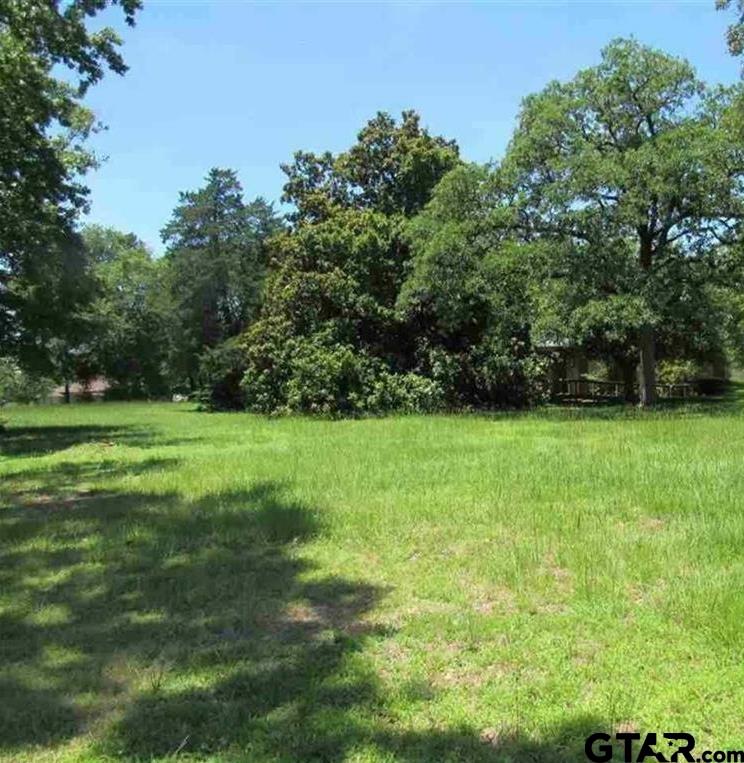 a view of green field with trees in the background