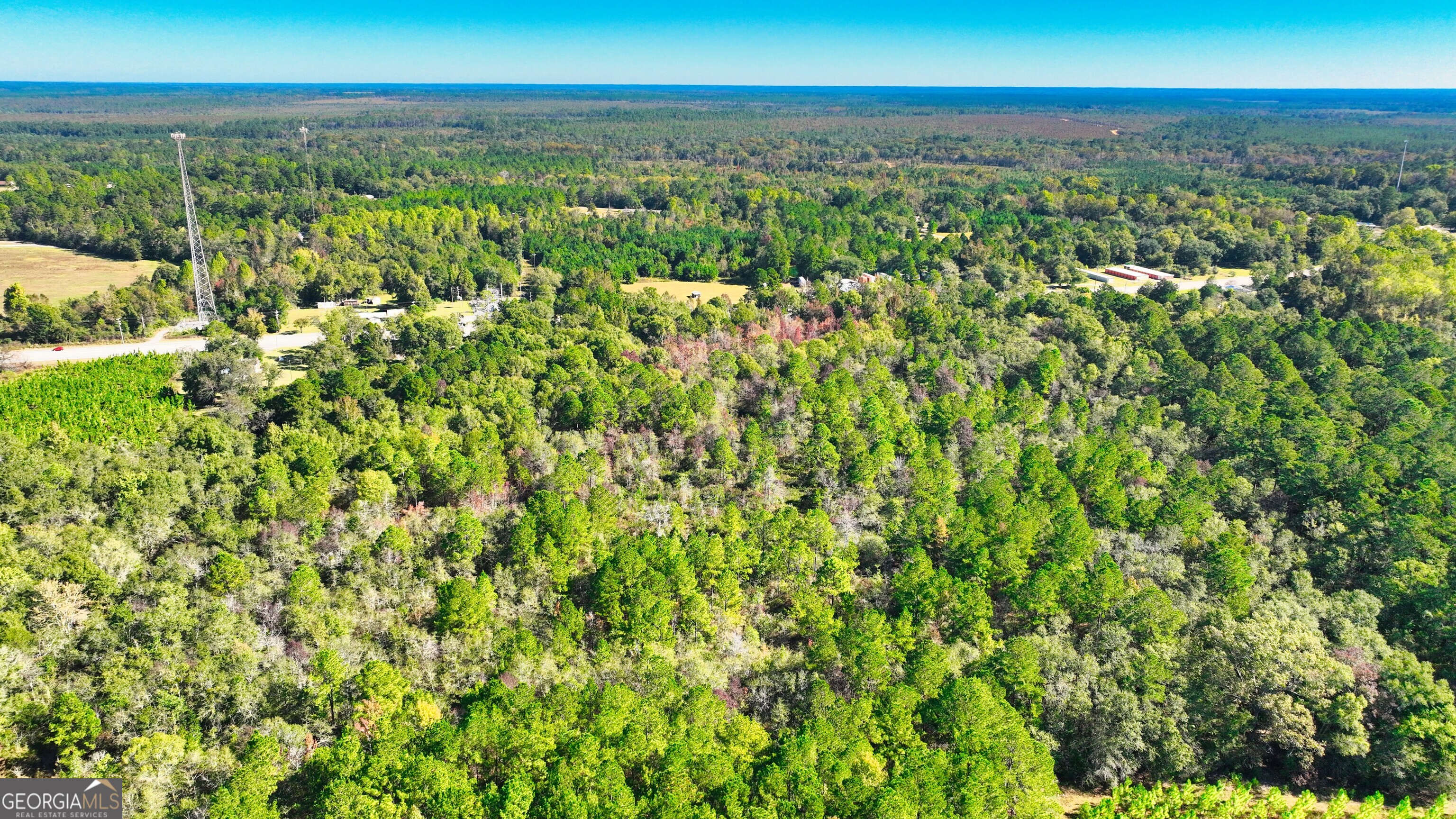 a view of a city with lush green forest