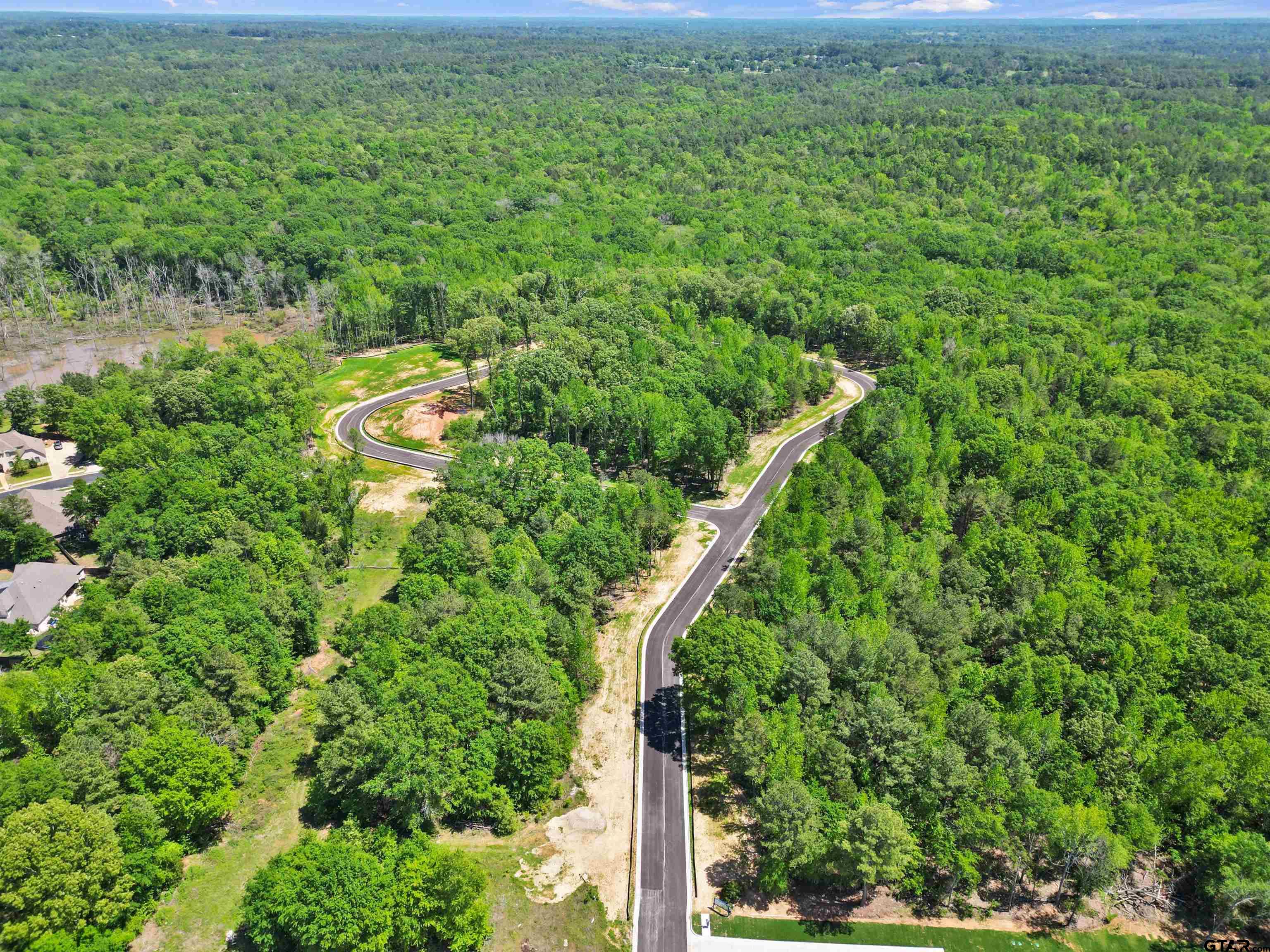 a view of a city with lush green forest