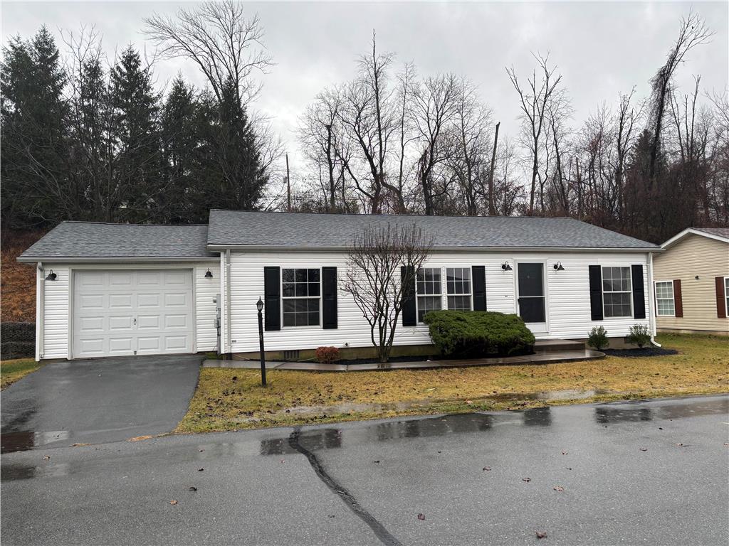 a front view of a house with yard space and trees