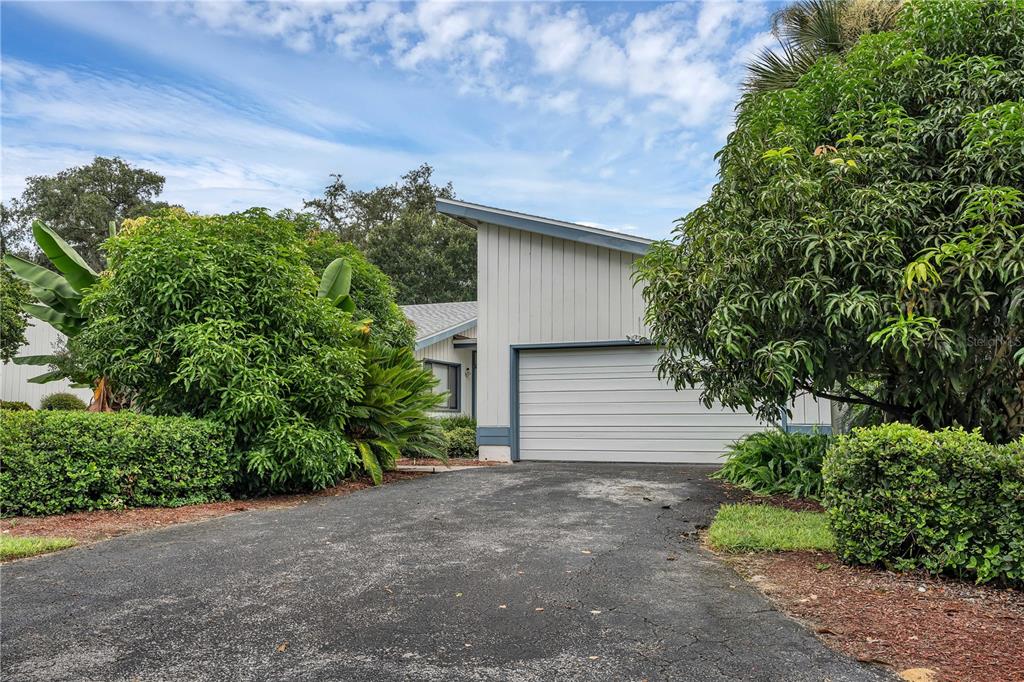 a backyard of a house with plants and trees