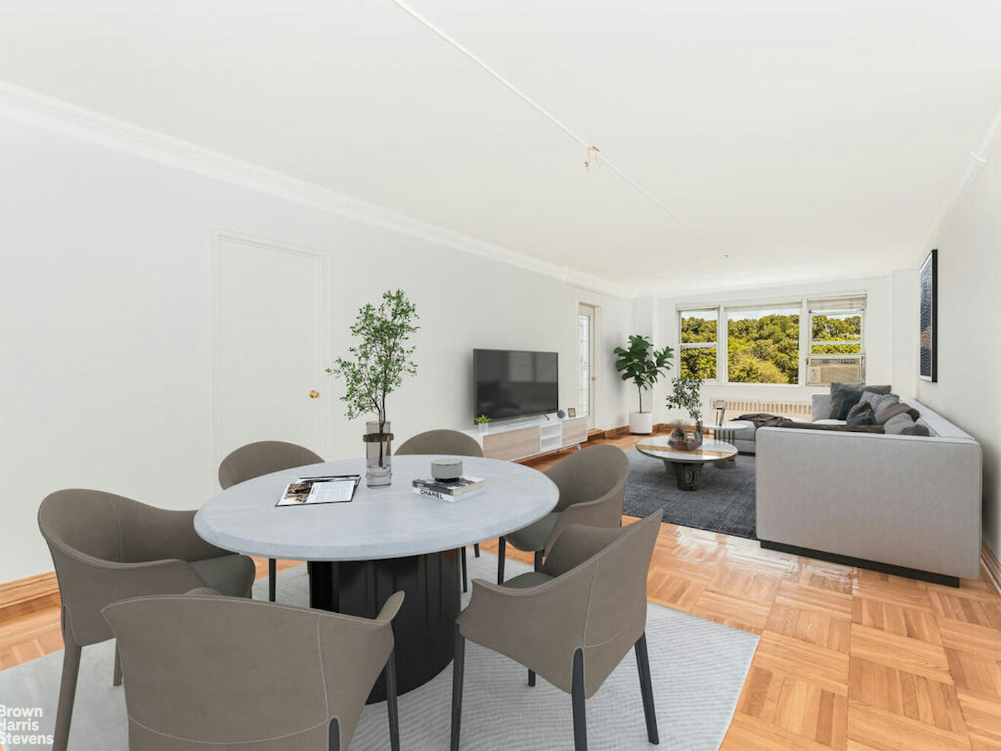 a living room with furniture and a potted plant