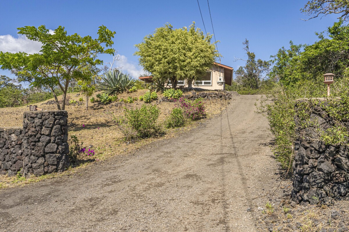 a view of a yard with plants