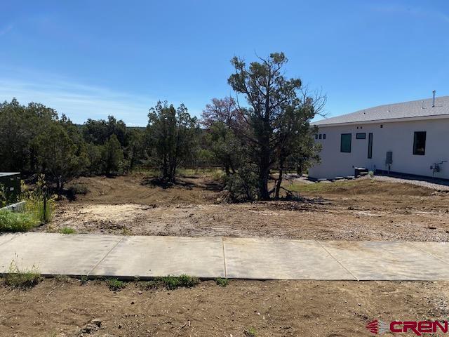 a view of a yard with a house