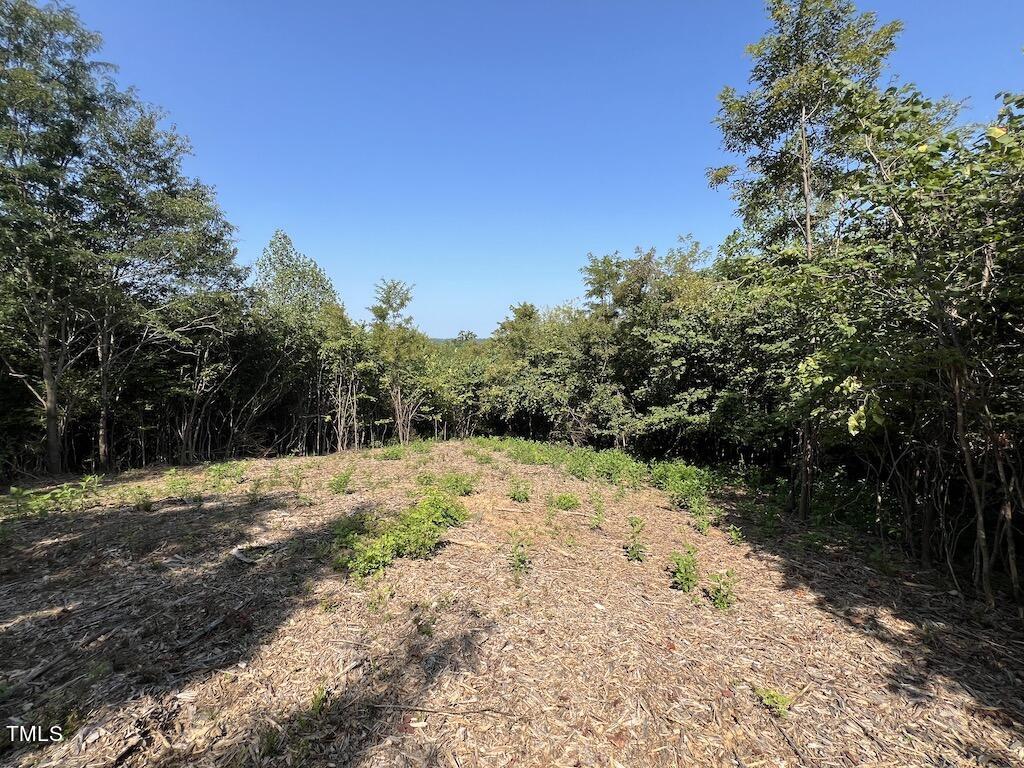 a view of a dirt road with trees in the background