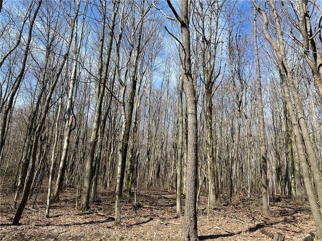 $79,900 | 0 Armel Hollow Road | Cook Township - Westmoreland County