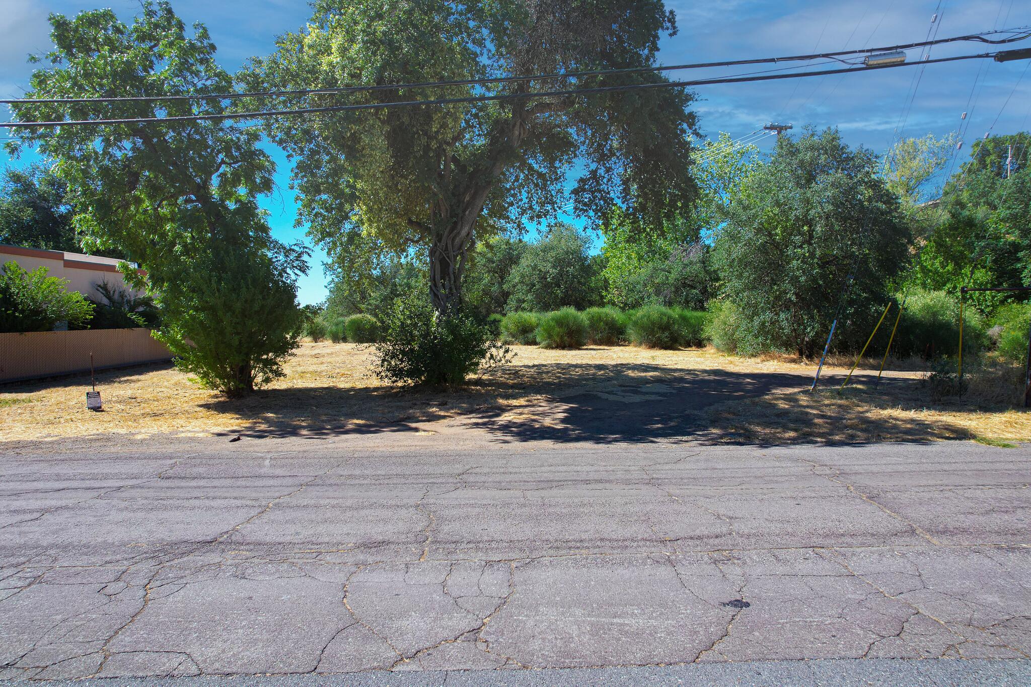 a view of a yard with plants and trees