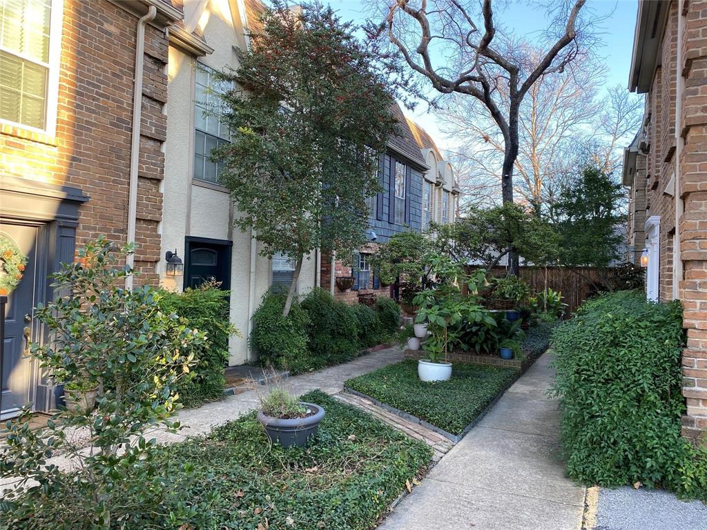 a view of a garden with potted plants and large trees