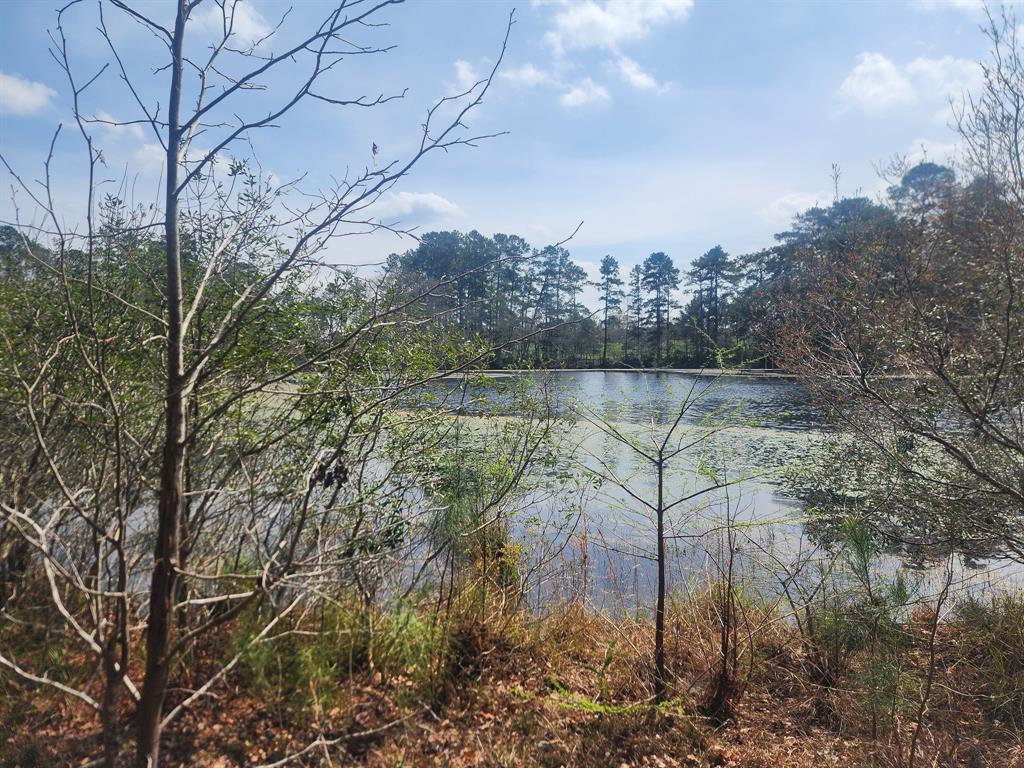 a view of lake