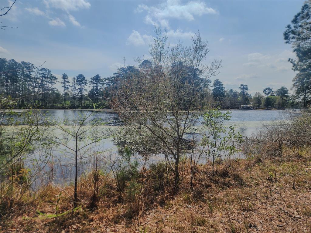 a view of a lake with a city