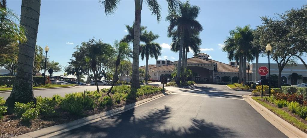 a view of a yard with palm tree