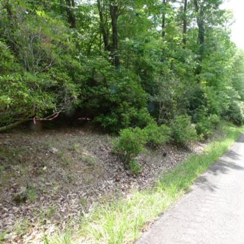 a view of a forest with a small yard