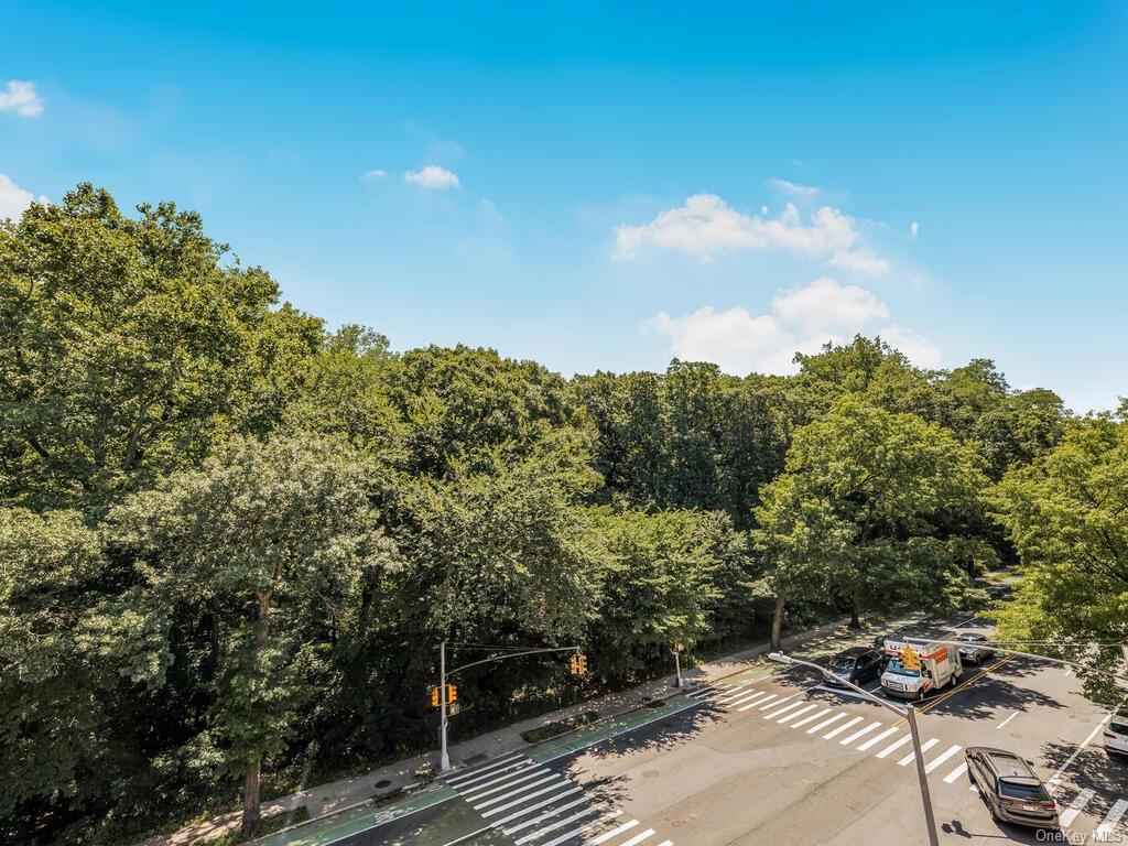 a view of a street with some trees