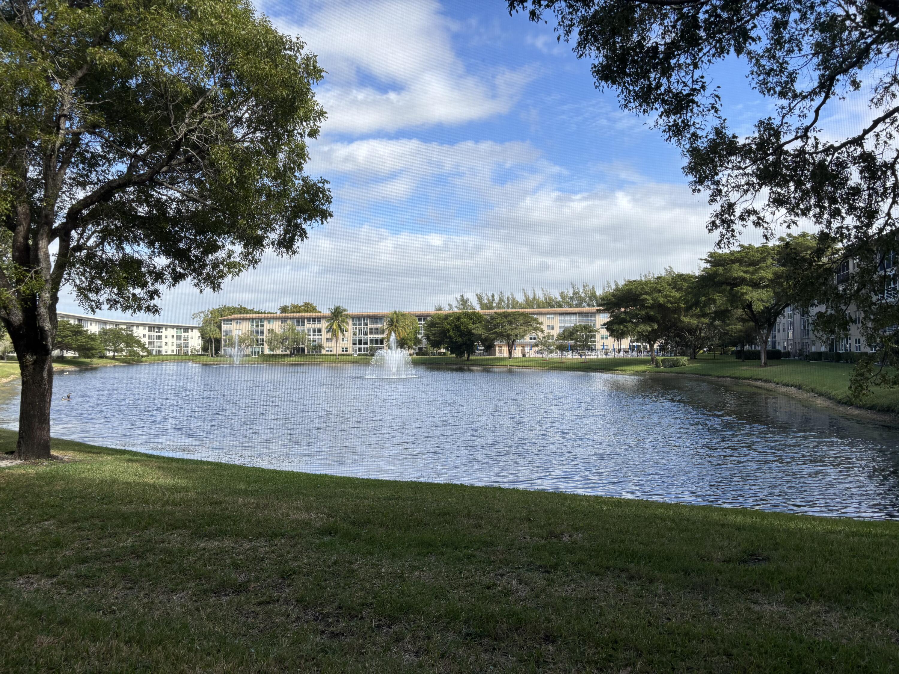 View from Patio