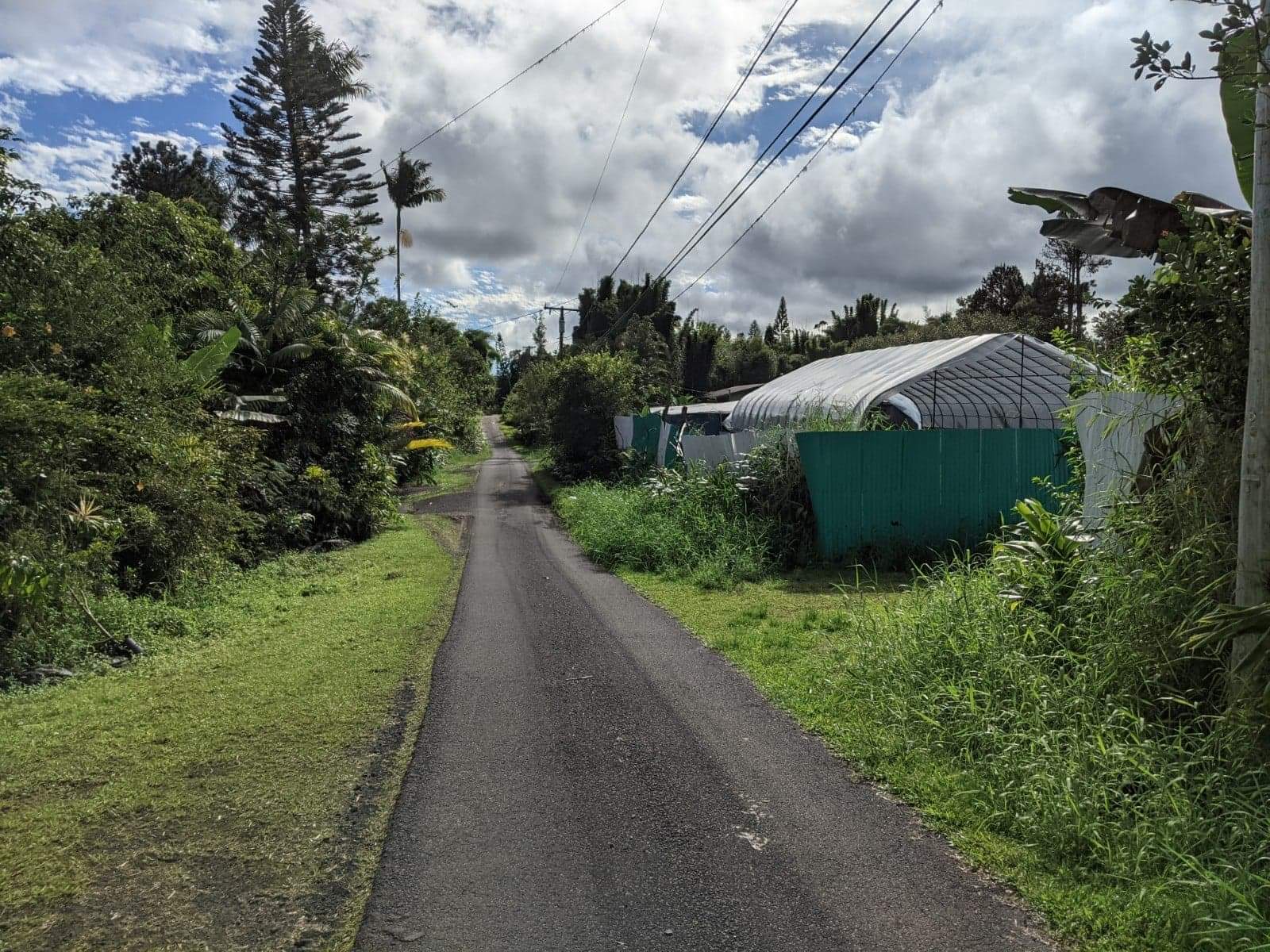 a view of a garden with a house