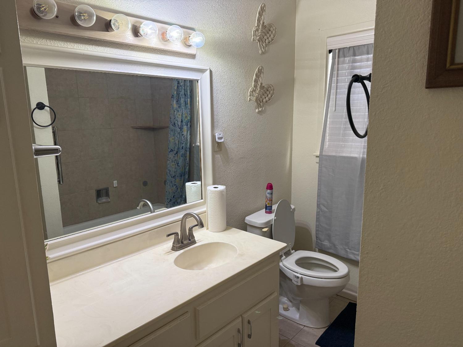 a bathroom with a sink vanity mirror and toilet