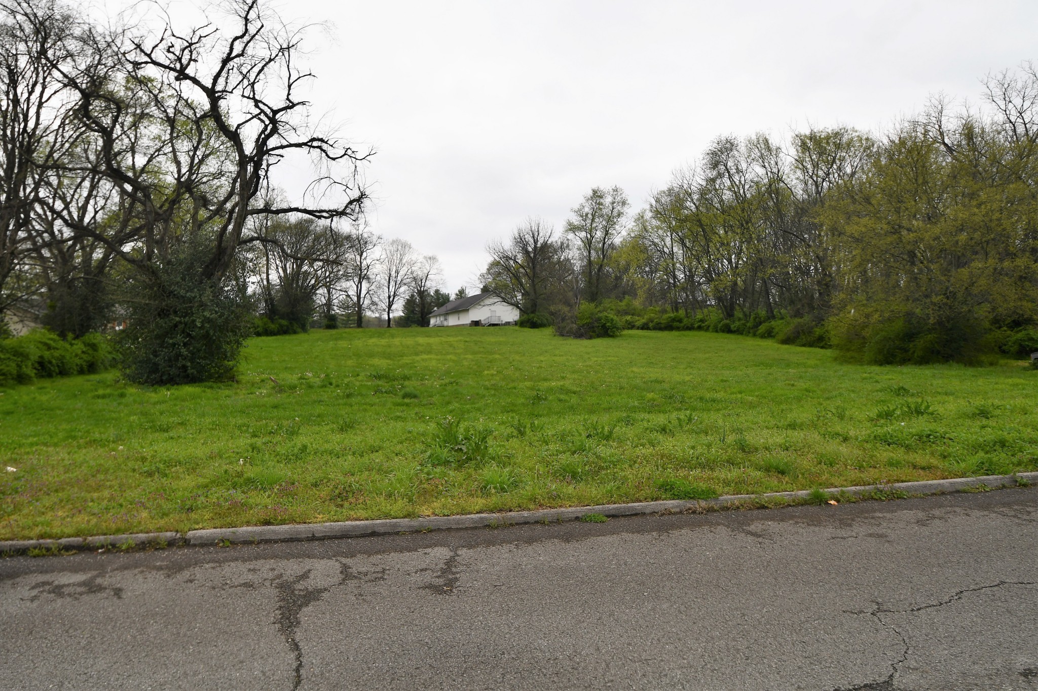 a view of a field of grass and trees