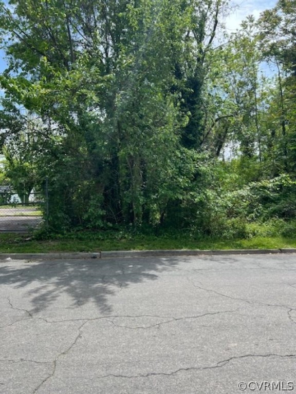 a view of a yard with a trees