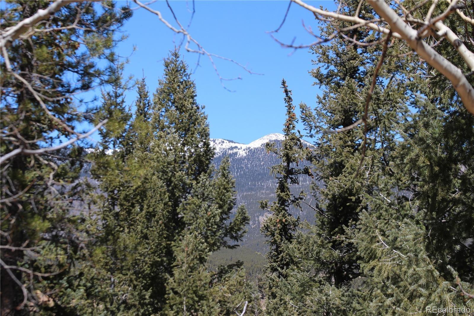 a view of a tree