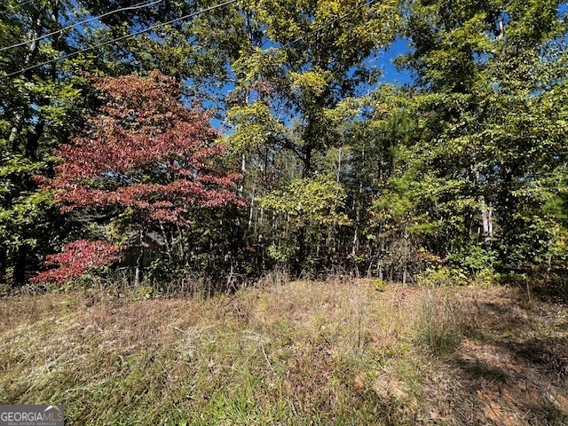 a view of a yard with a tree