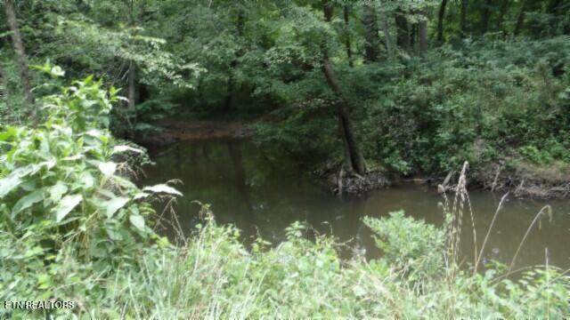 CREEK USE AS THE MAIL PHOTO BEST