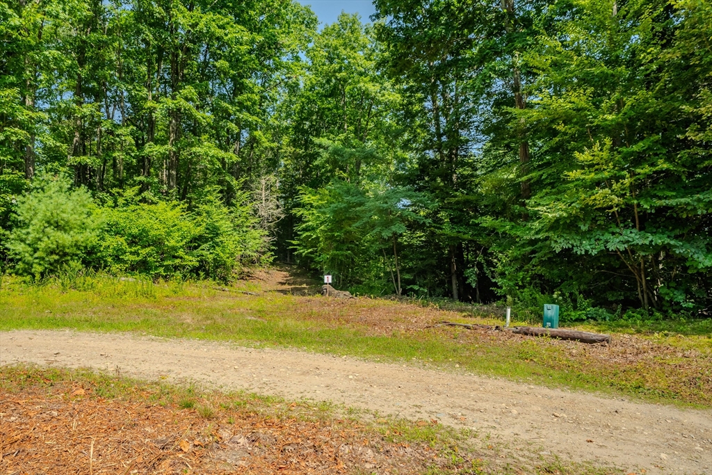 a view of a yard with a house