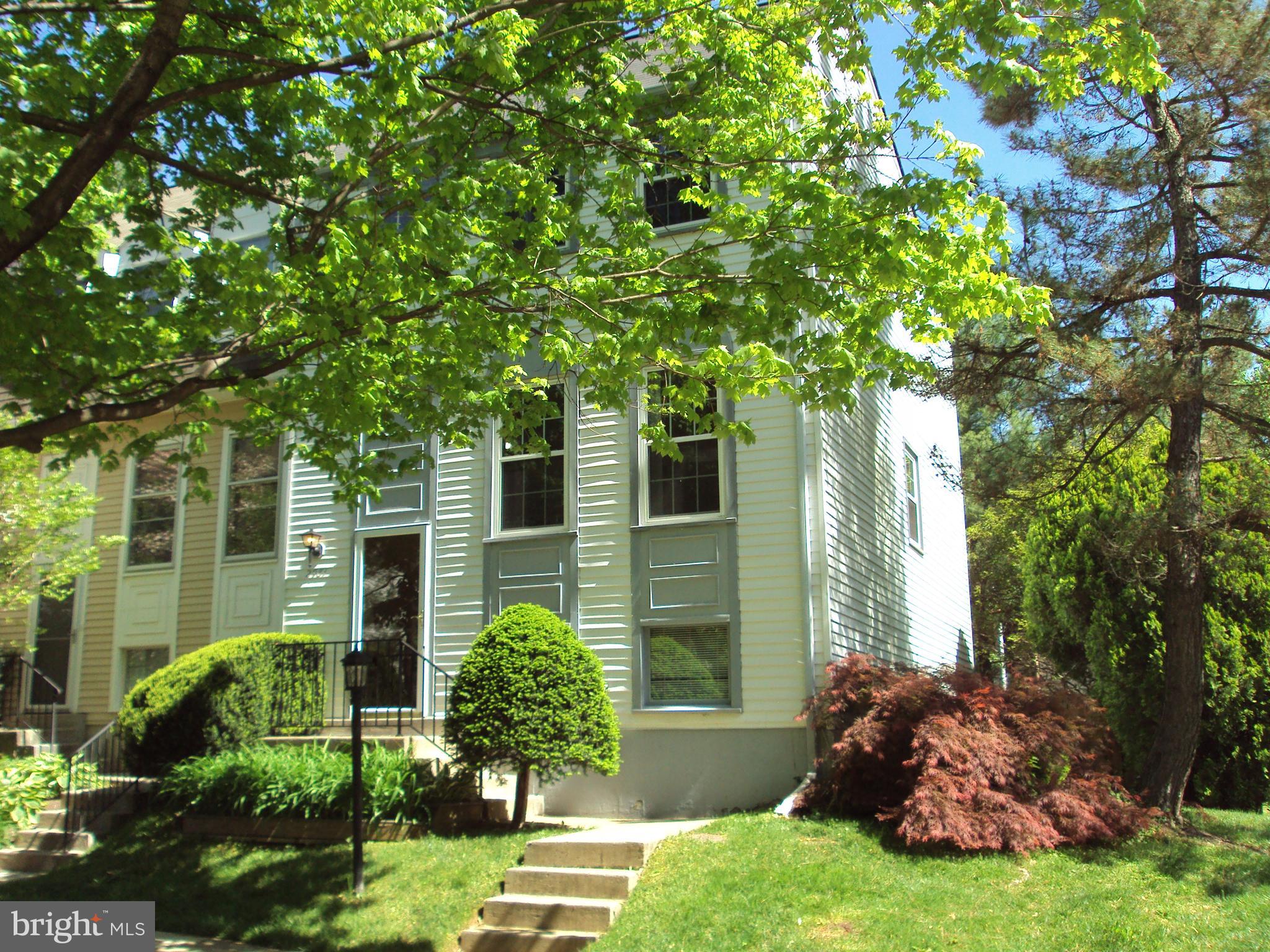 a view of backyard with potted plants and large tree