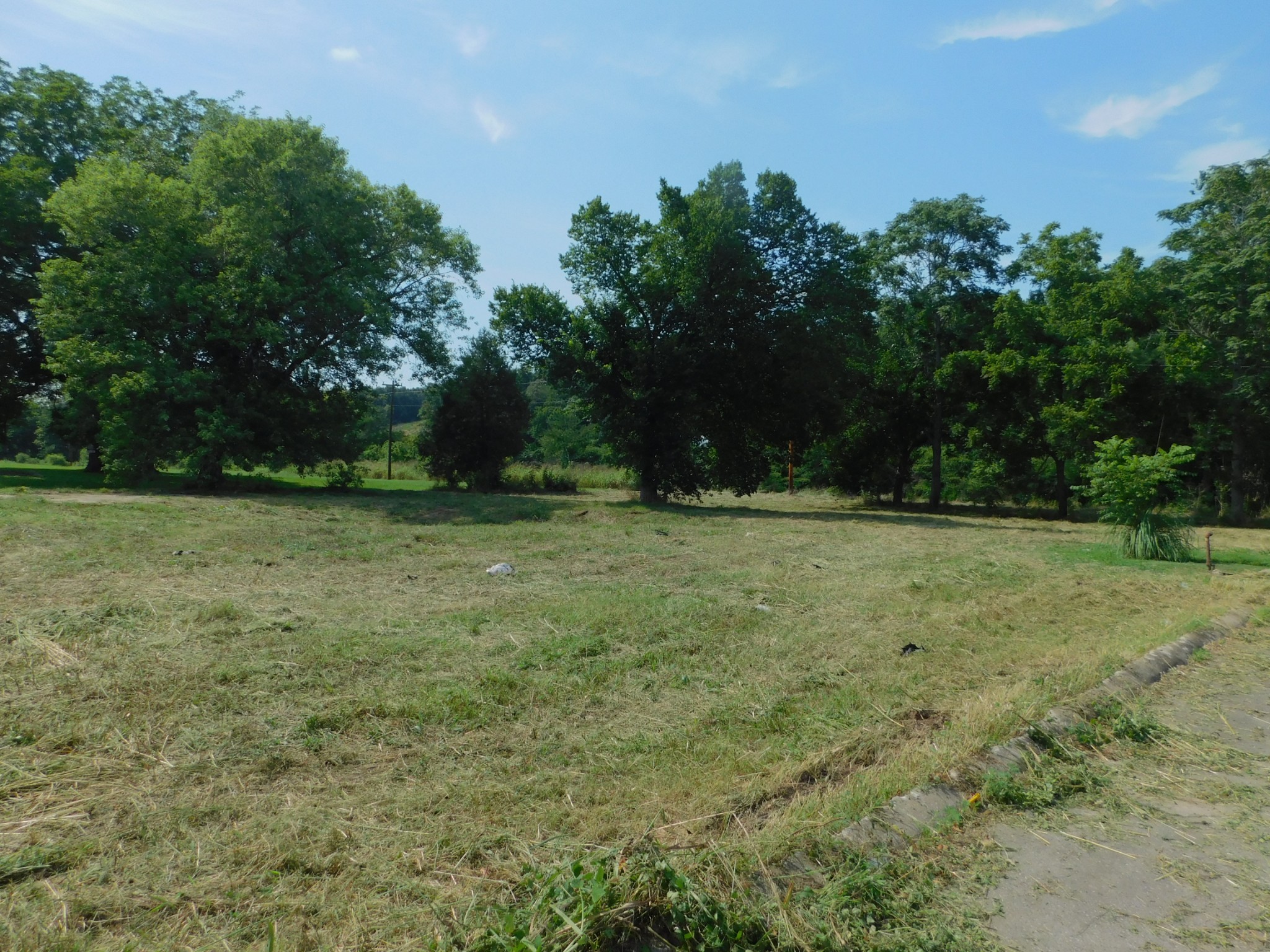 a view of outdoor space with trees all around