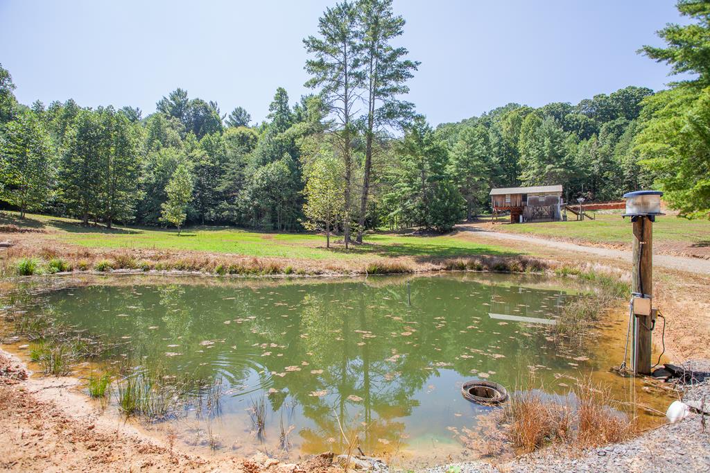 a view of a water fountain and a yard