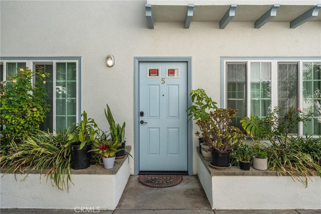 a potted plant sitting in front of a house