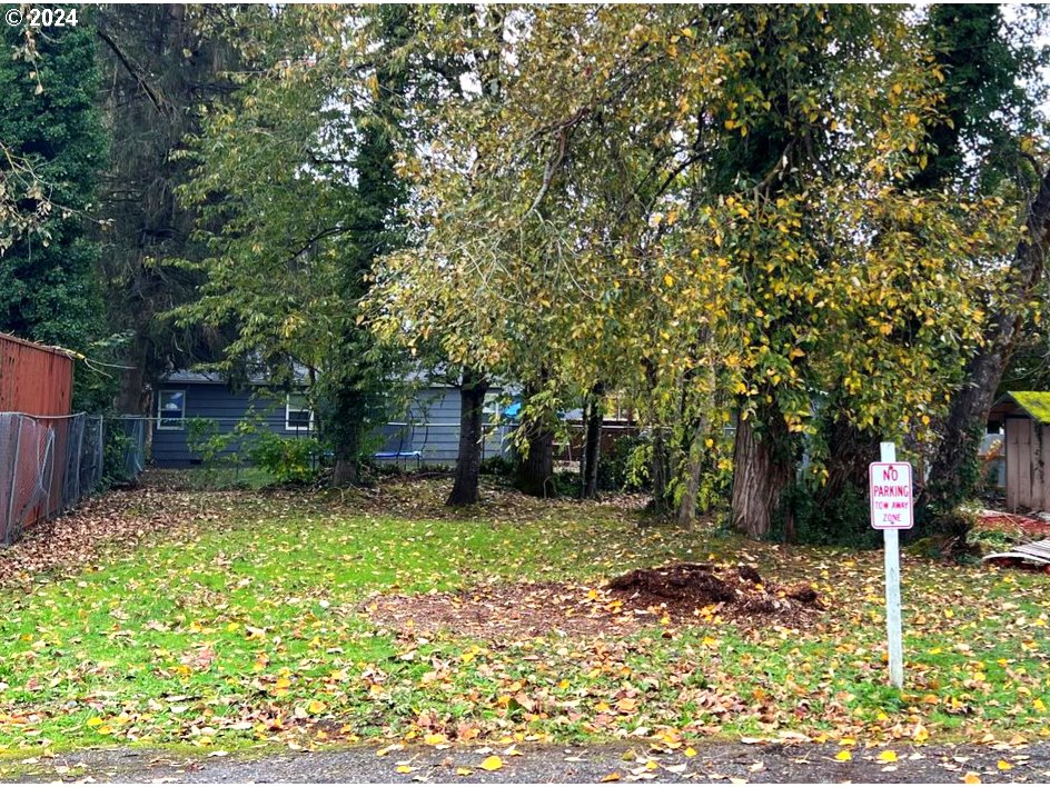 a view of a backyard with a tree