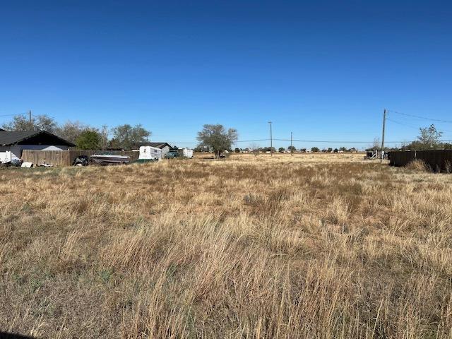 a view of a dry yard