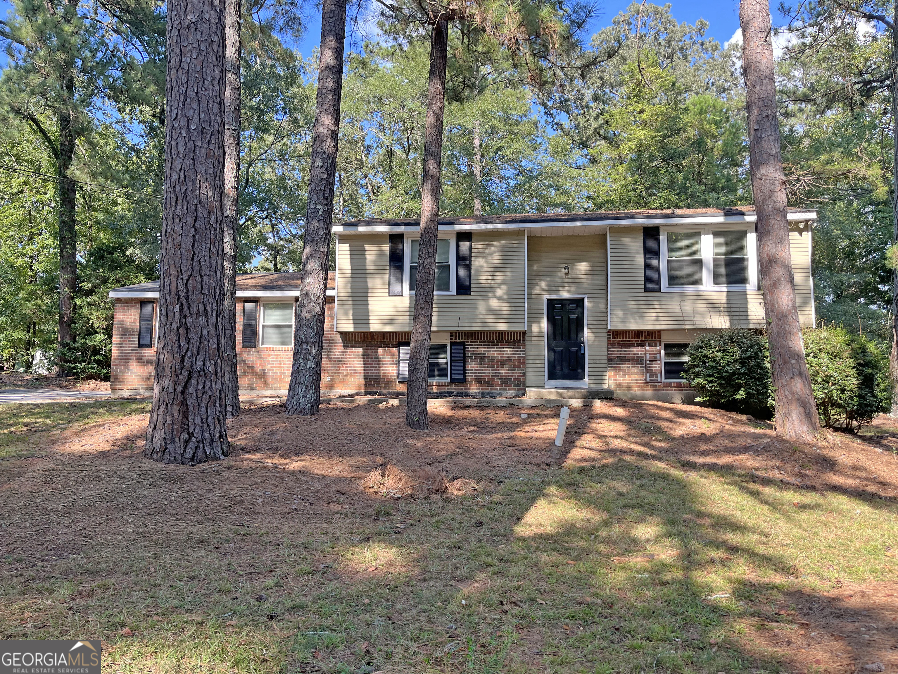 a front view of a house with a yard and tree s