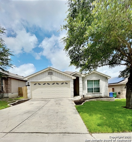 a view of a yard in front of house