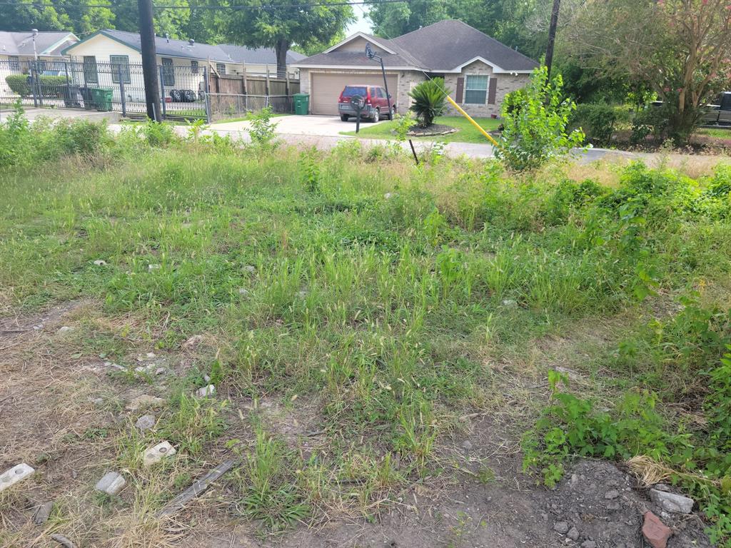 a view of backyard of the house