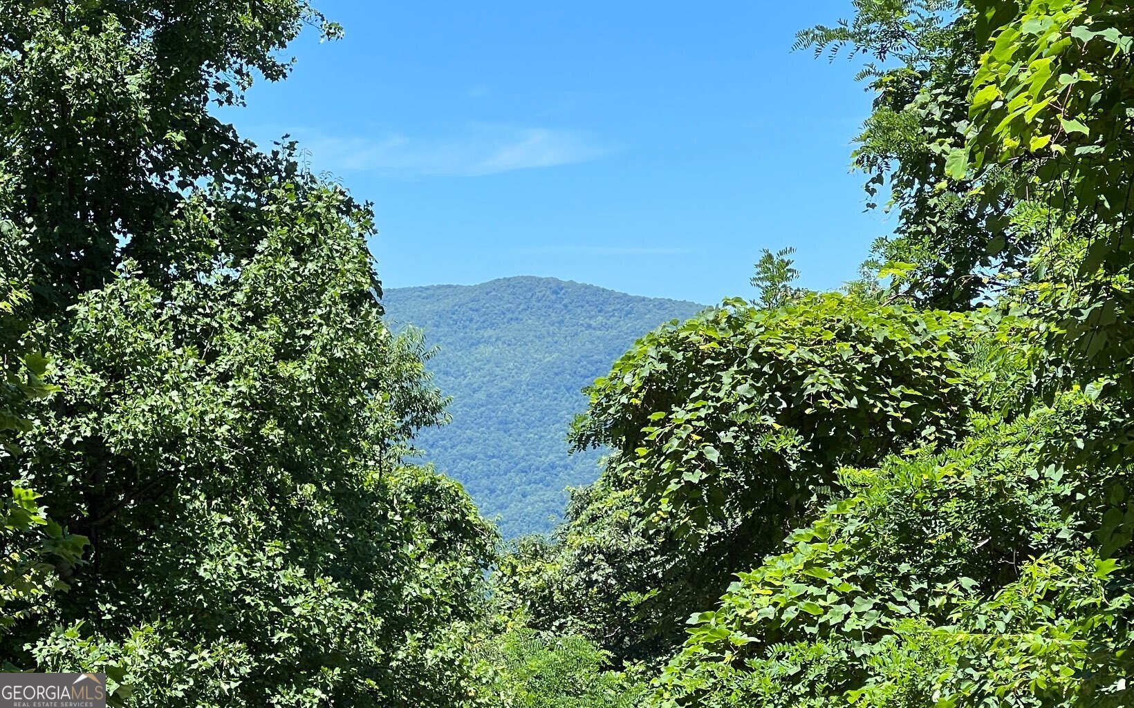 an aerial view of green landscape with trees houses and mountain view