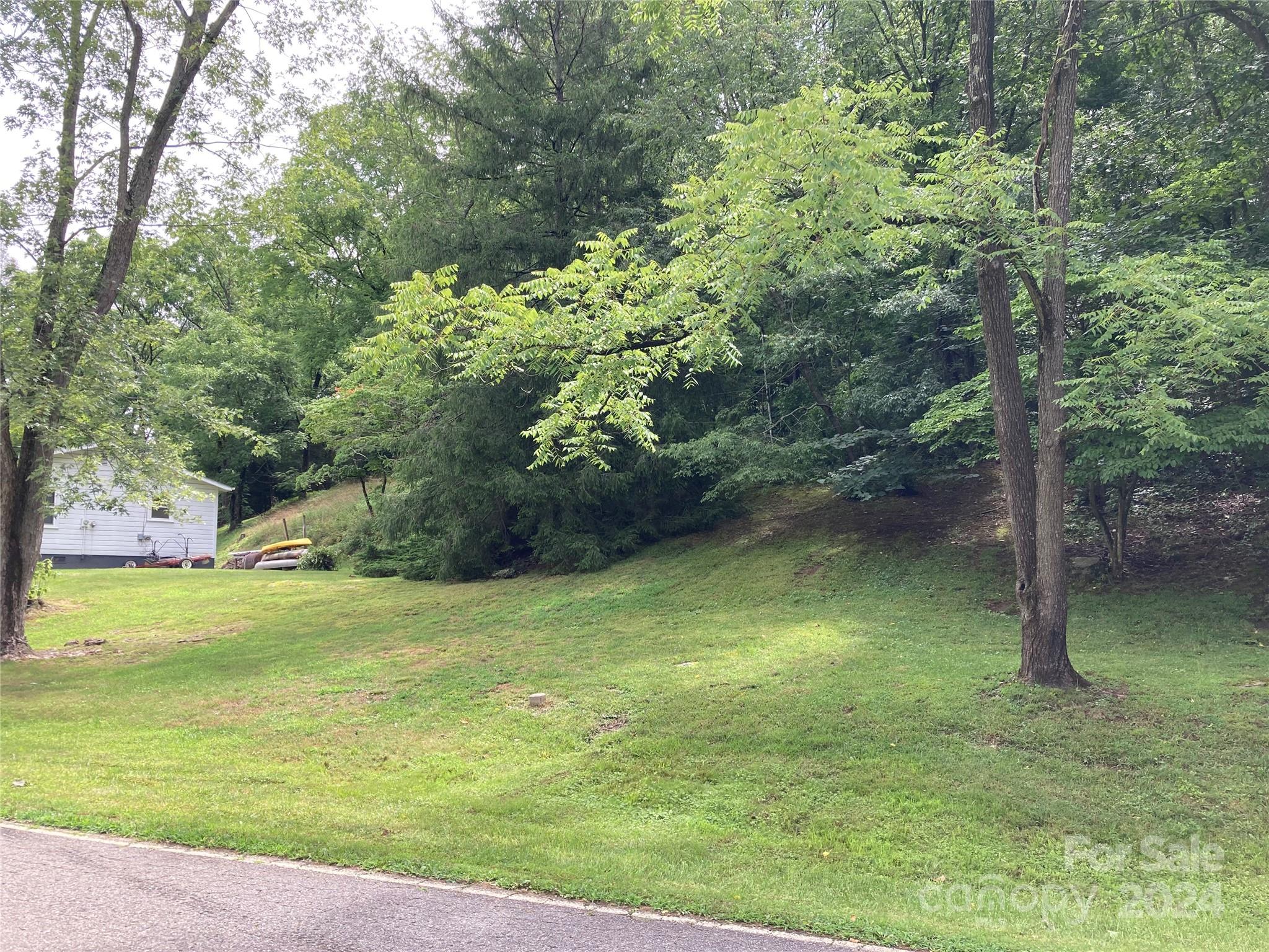 a view of a trees in a yard